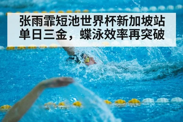 张雨霏短池世界杯新加坡站单日三金，蝶泳效率再突破